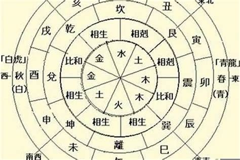 五行忌木|八字五行忌木者是什么意思